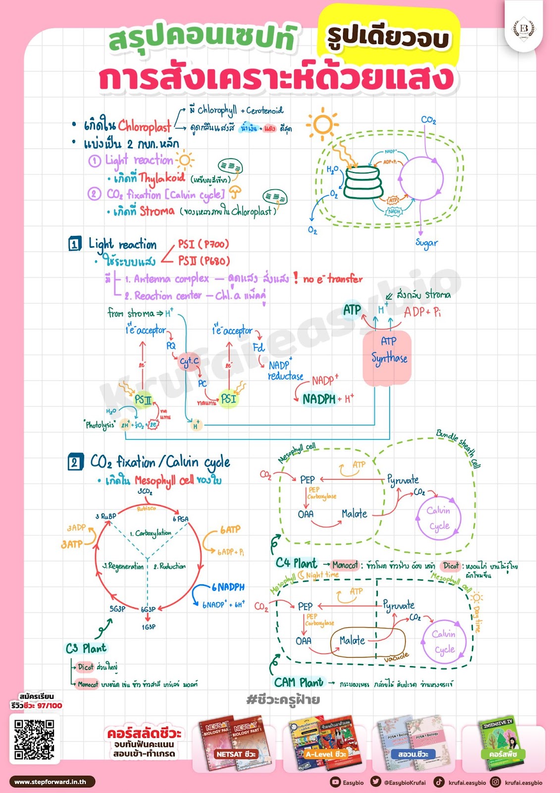 สังเคราะห์แสง ม.5
