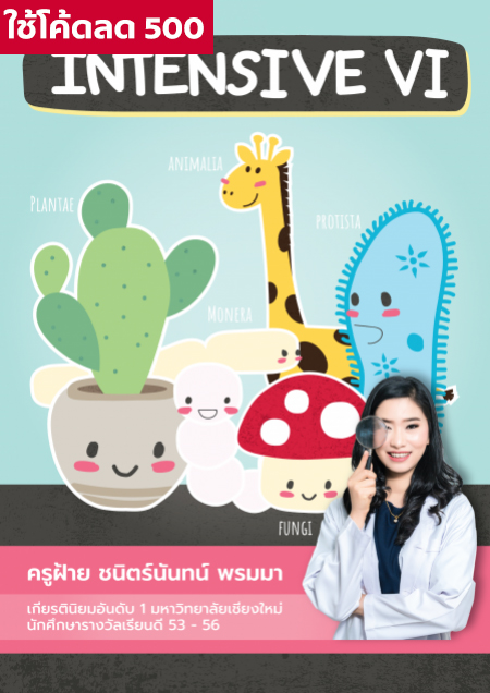ชีวะ intensive 6
