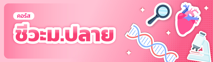 คอร์สเรียนล่วงหน้าทำเกรด